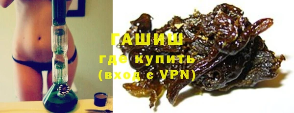 мдпв Каменка