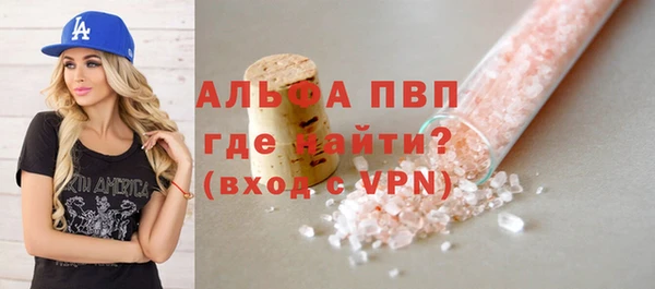 мдпв Каменка