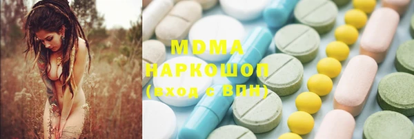 мдпв Каменка