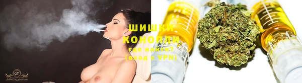 хмурый Каменногорск