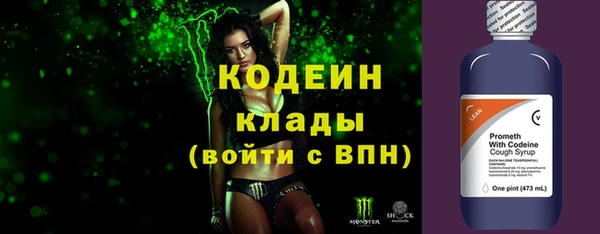 хмурый Каменногорск