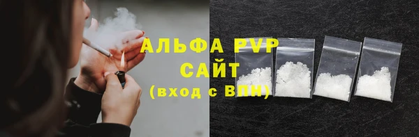 мдпв Каменка