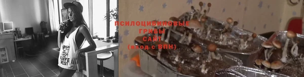 мдпв Каменка