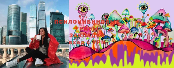 хмурый Каменногорск