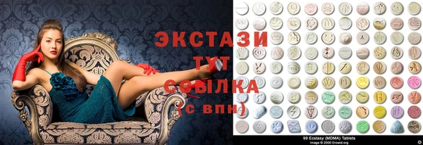 мдпв Каменка