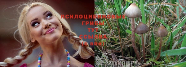 герыч Каменск-Шахтинский