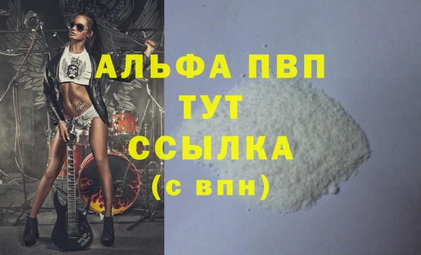 мдпв Каменка