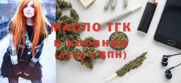 мдпв Каменка