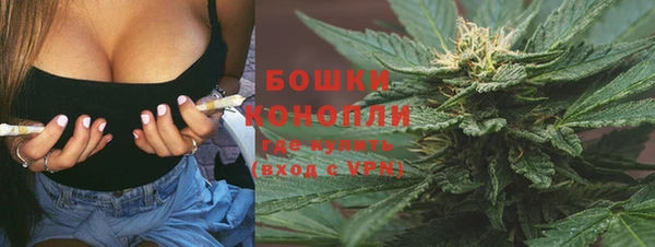 хмурый Каменногорск