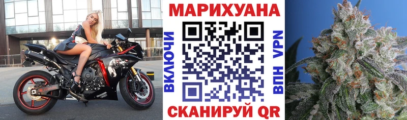 Купить  Болотное  Конопля индика 